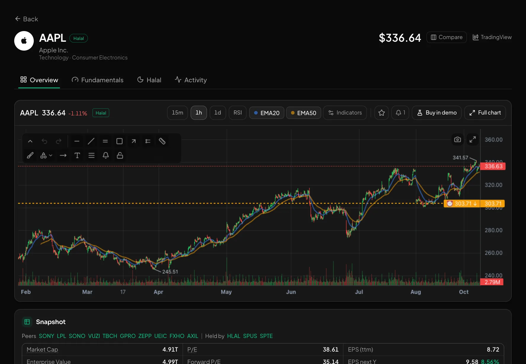 Stock page: chart and key metrics